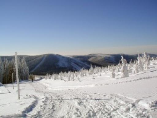 Harrachov – Jakuszyce raj narciarstwa biegowego bez granic