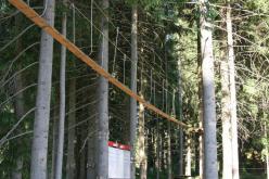 Monkey Park Harrachov