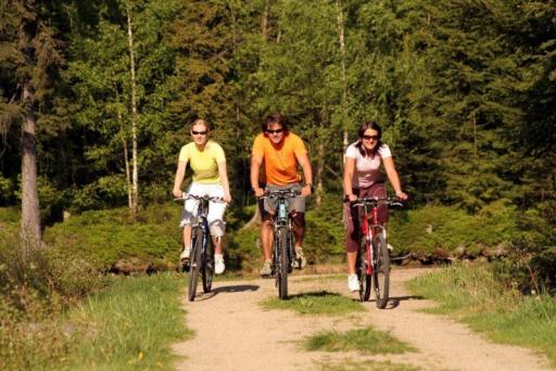 Mountainbikes in Harrachov