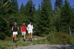 Nordic Walking Harrachov