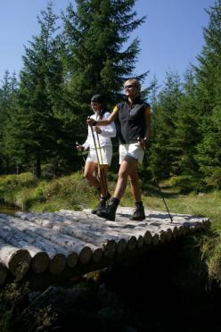 Nordic Walking Harrachov