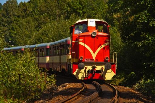 Die Zahnradbahn  - Zubačka