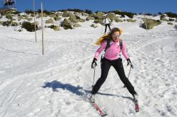 Běžecké lyžování Harrachov