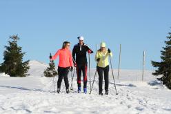 Běžecké lyžování Harrachov