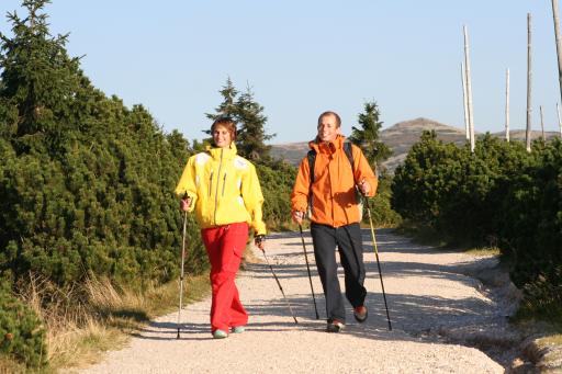 Nordic walking Harrachov