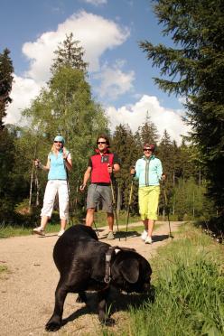 Nordic Walking Harrachov