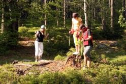 Nordic Walking Harrachov