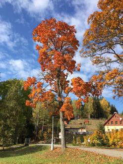 Harrachov léto