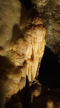 Bozkovské dolomitové jeskyně