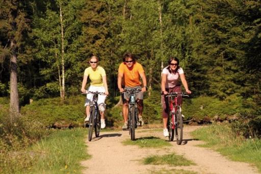 Karkonoskie autobusy dla rowerzystów, rozkład jazdy