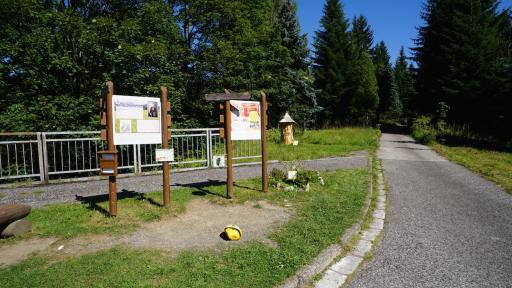 Enjoy The Nature and Learn About the Lifespan of a Bee Enjoy The Nature and Learn About the Lifespan of a Bee